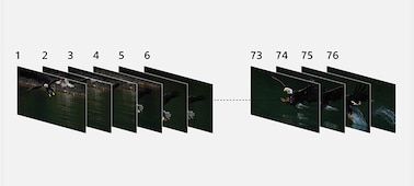 Image illustrating 76 frames of continuous shooting