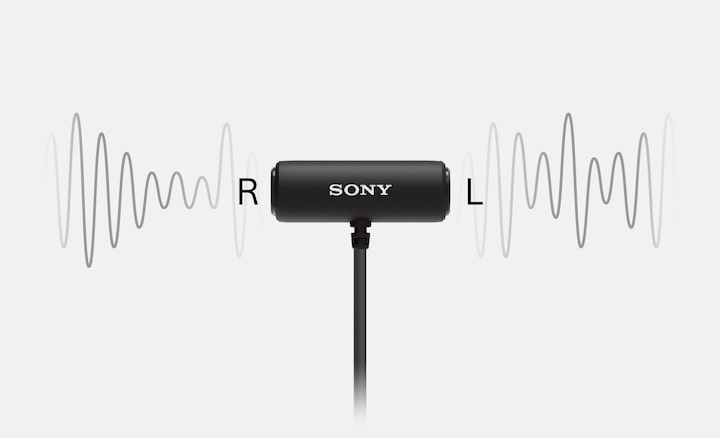 Illustration in which ECM-LV1 is collecting stereo sound