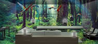 Sofa and speakers within a forest scene showing trees and parrots flying overhead